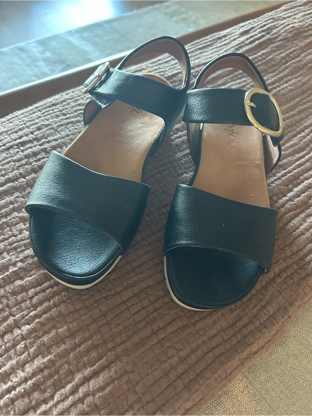Women’s Black  Buckle Sandals EuroSoft by Sofft